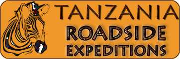 RoadSideTanzania.com